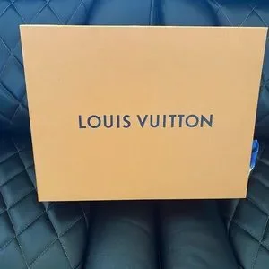 Louis Vuitton | Shoes | Timeless Luxurious Louis Vuitton  display picture 2